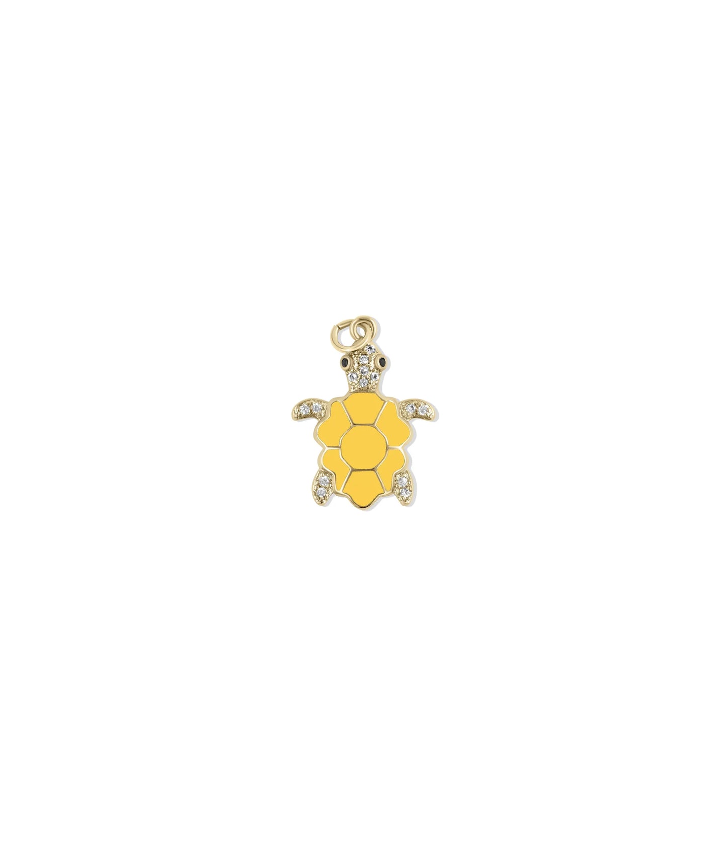 Colorful turtle shell capturing enamel diamond sparkle