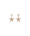 Diamond Pave Heart Shape Dangle Earring - 79e | Everyday 14K Gold Jewelry