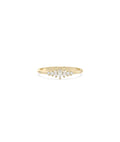 Multi-Shape Graduating Diamond Band Ring