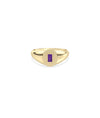 Signet Birthstone Ring - 79e | Everyday 14K Gold Jewelry