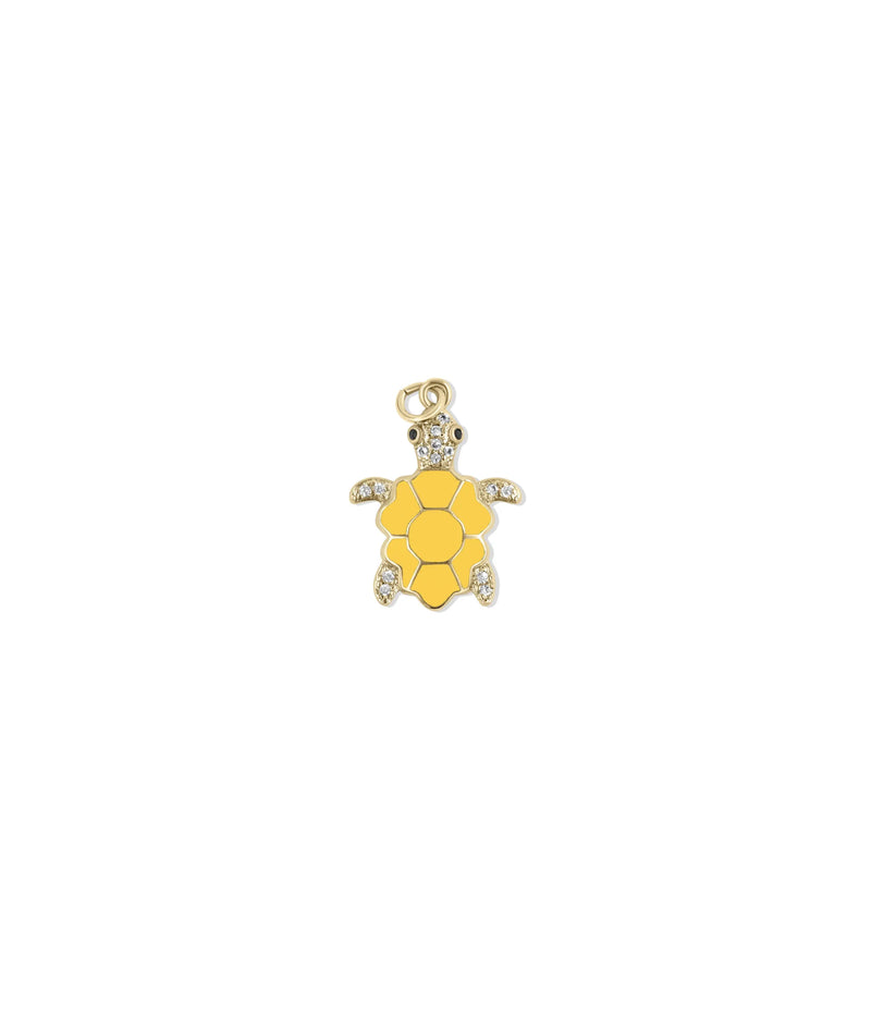 Colorful turtle shell capturing enamel diamond sparkle