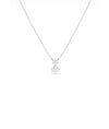 Two stone drop necklace showing diamonds arranged in elegant cascade
